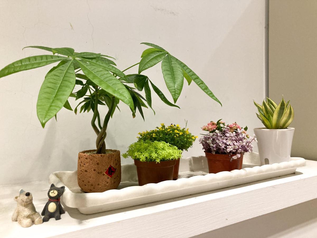 4Plus Hostel Taipei Luaran gambar